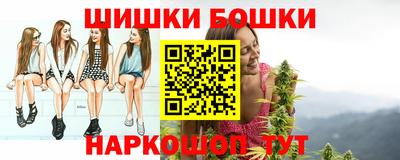 дмт Будённовск