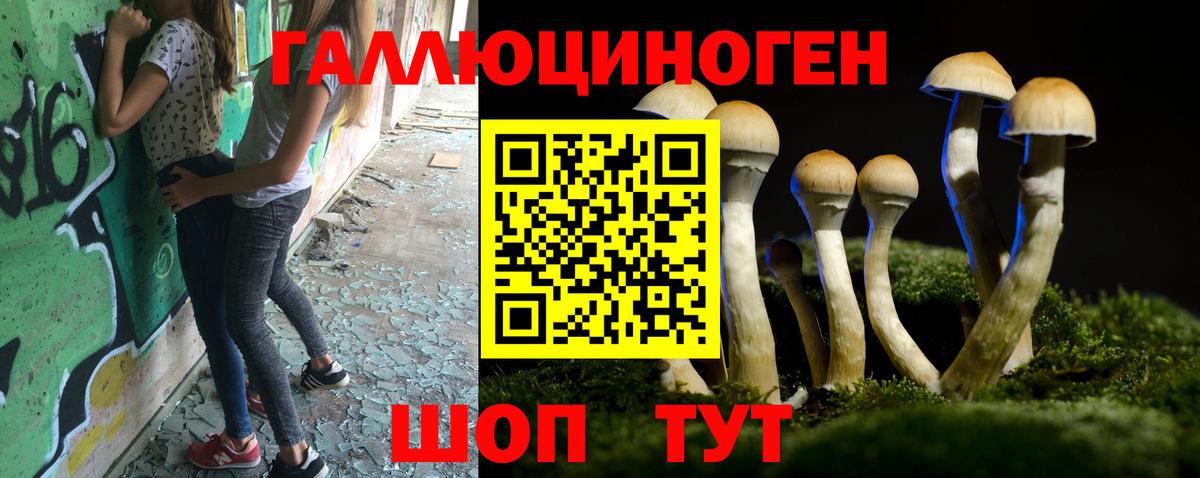 Сарапул  Псилоцибиновые грибы Magic Shrooms  Галлюциногенные грибы GOLDEN TEACHER  где можно купить   Вход с VPN 
